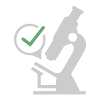 Auto Draft 4 lab icon