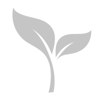 Auto Draft 1 organic icon