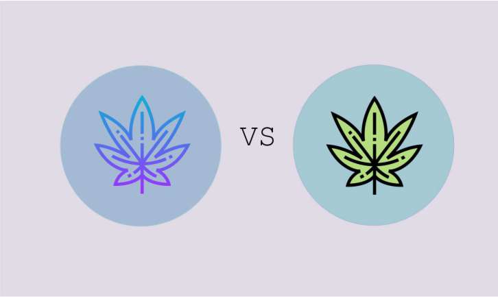 Image of CBD-Tropfen vs CBG-Tropfen